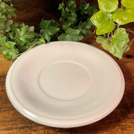 Studio Nova Fresh Mint Teacup Candle | Peppermint & Eucalyptus