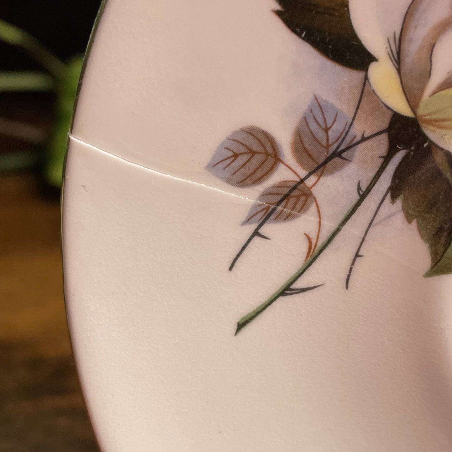 Royal Dover English Yellow White Rose Flower Teacup Candle | Calla Lily