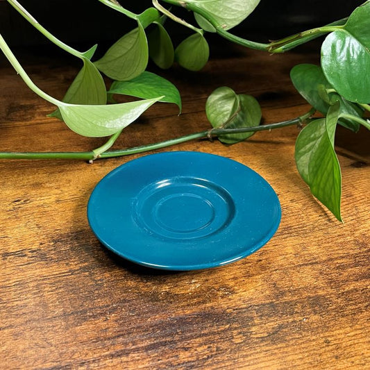Turquoise ceramic plate on a wooden surface with green leaves in the background