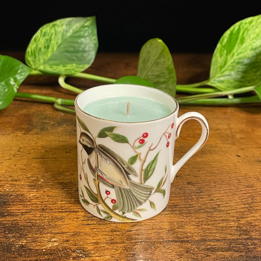 Royal Chelsea, Audubon Birds Swallow Espresso Cup Candle | Evergreen & Apple