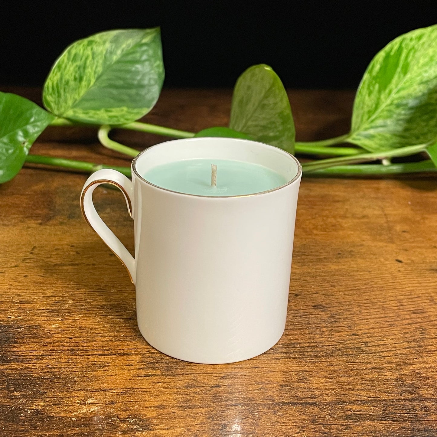 Royal Chelsea, Audubon Birds Swallow Espresso Cup Candle | Evergreen & Apple