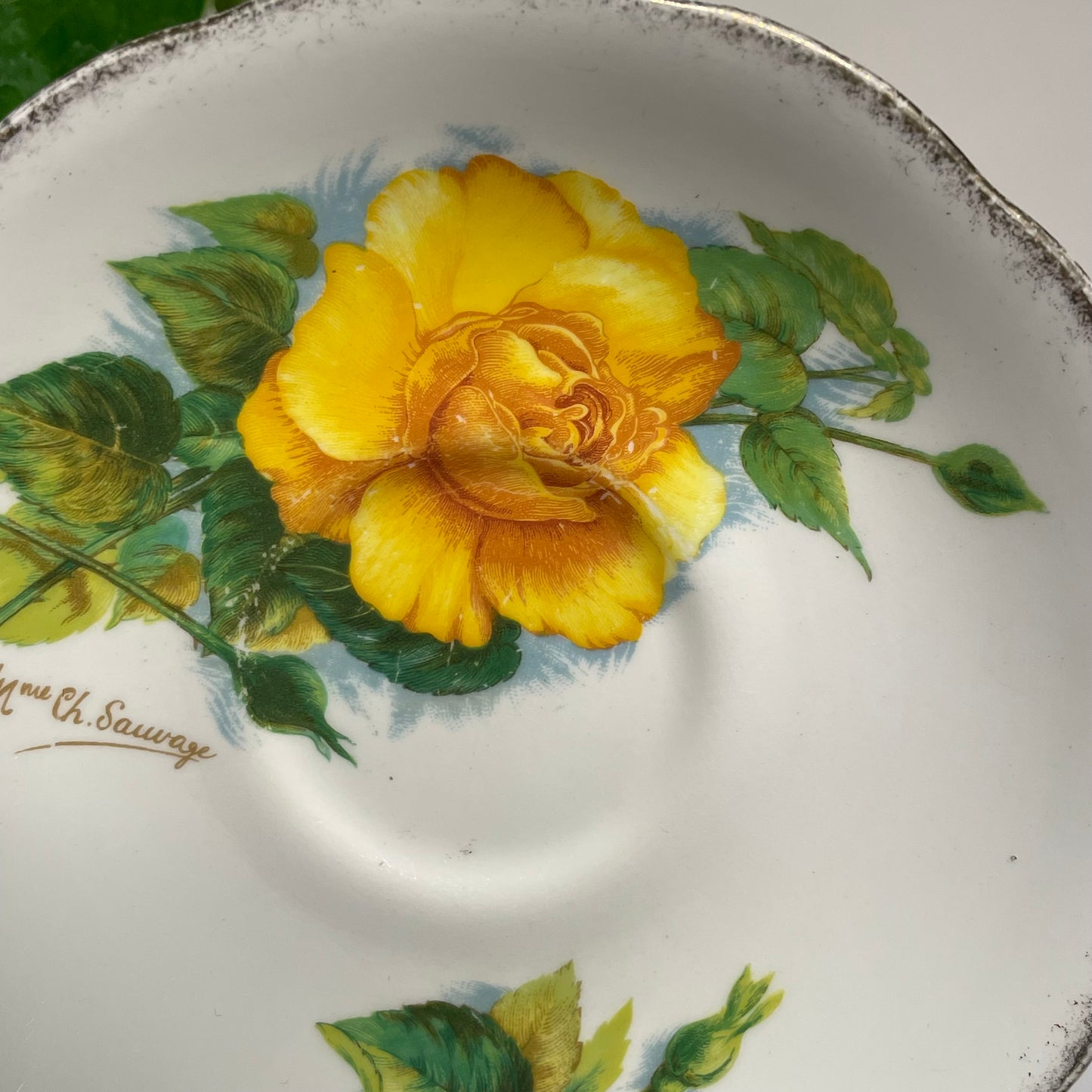 Pale Yellow Roses Custom Teacup Candle | 4 oz.