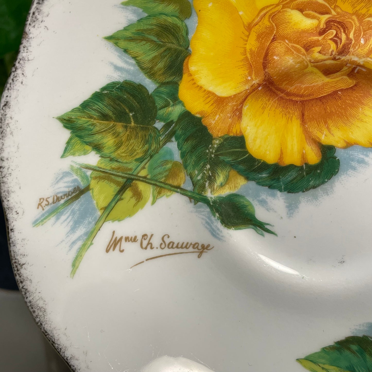 Pale Yellow Roses Custom Teacup Candle | 4 oz.