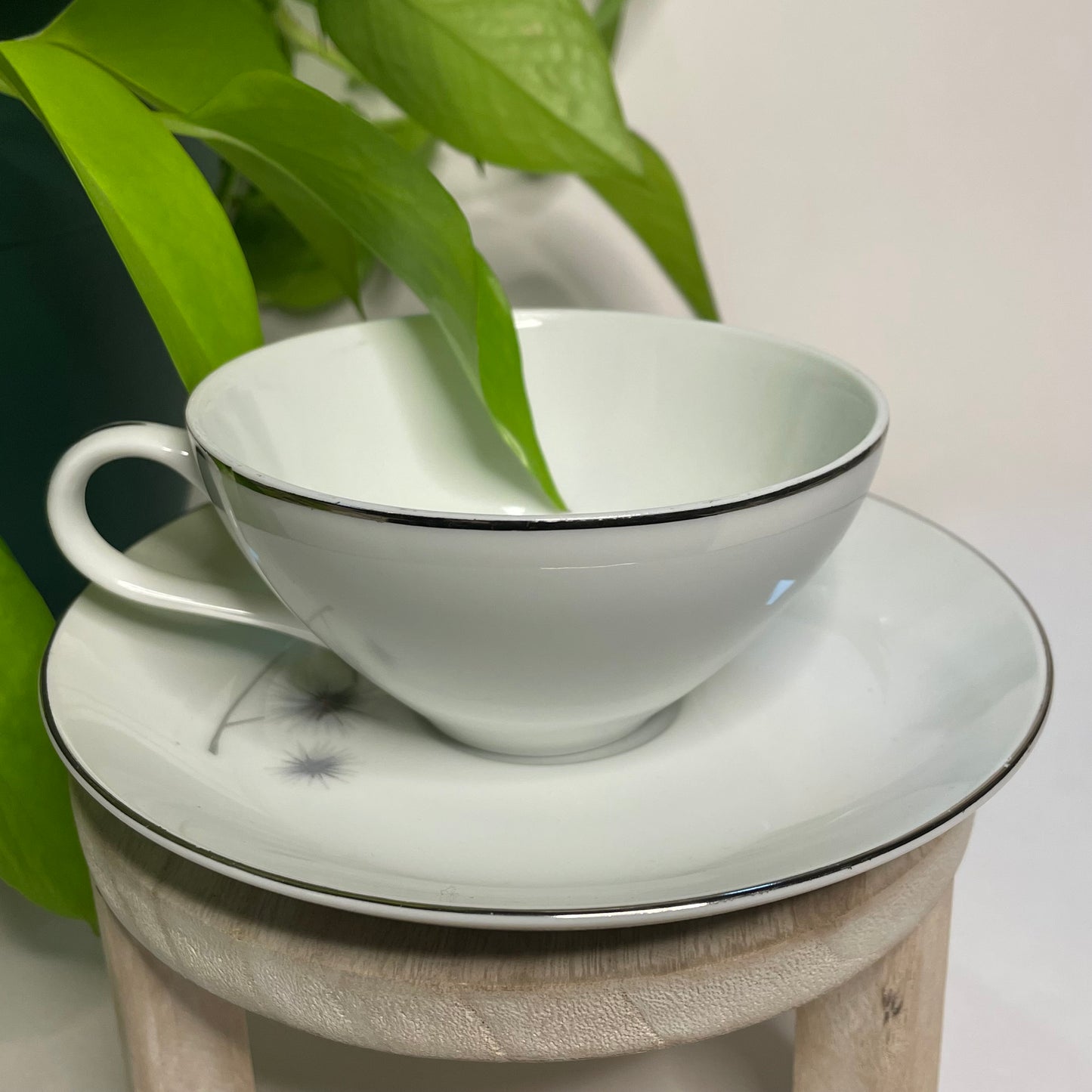 Platinum Star Burst Teacup Candle | 5 oz.