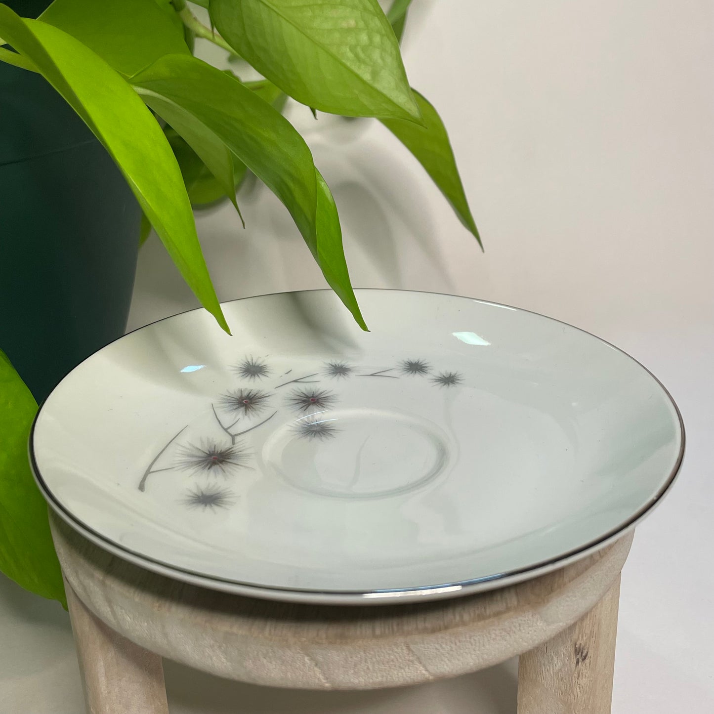 Platinum Star Burst Teacup Candle | 5 oz.