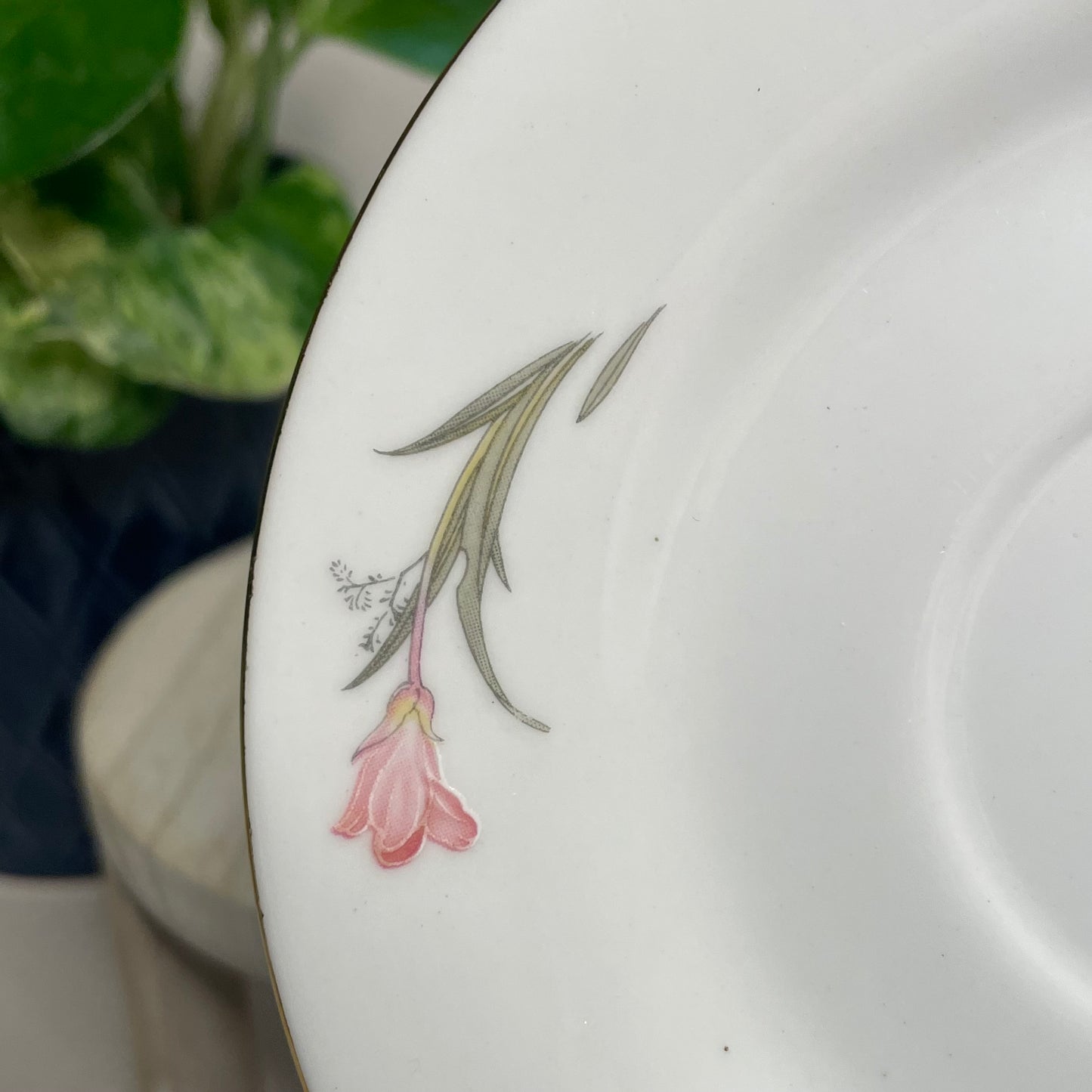Vintage Pink Iris Teacup Candle | 5.5 oz.