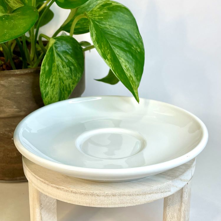 White ceramic dish on a wooden stand with a green plant in the background