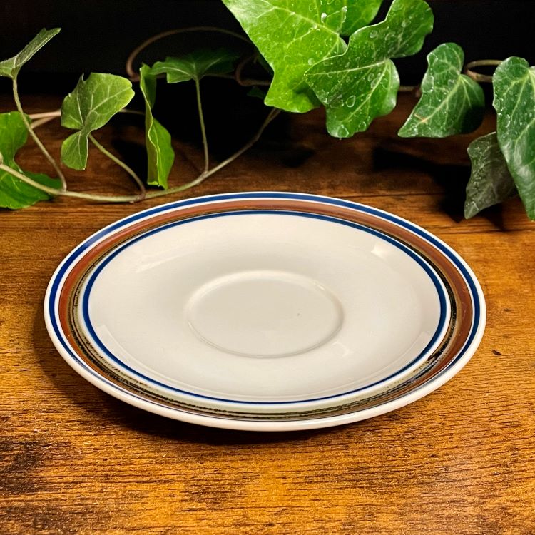 Salem Stoneware Georgetown Teacup | Autumn Spice