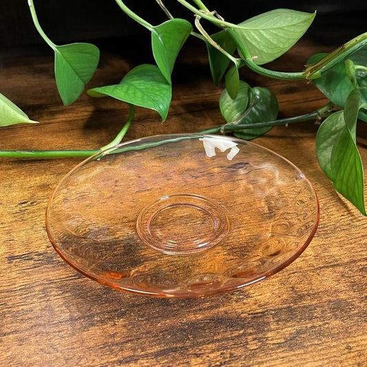 Clear glass plate on a wooden surface with green leaves in the background
