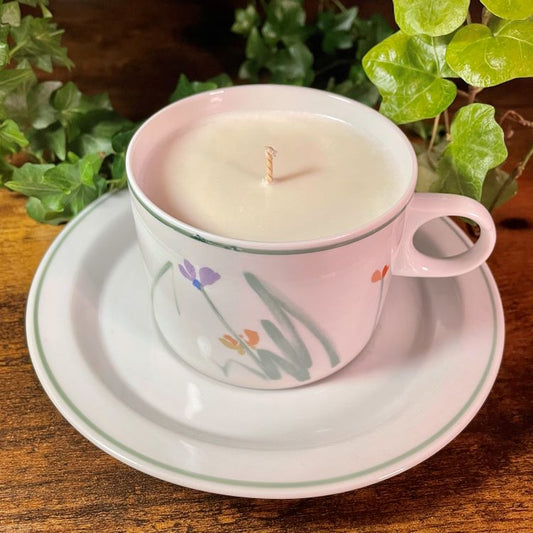 Studio Nova Sketchbook Teacup Candle | Various Fragrances
