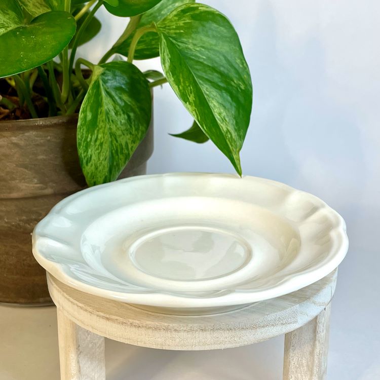 White ceramic plant stand with a green leafy plant in the background