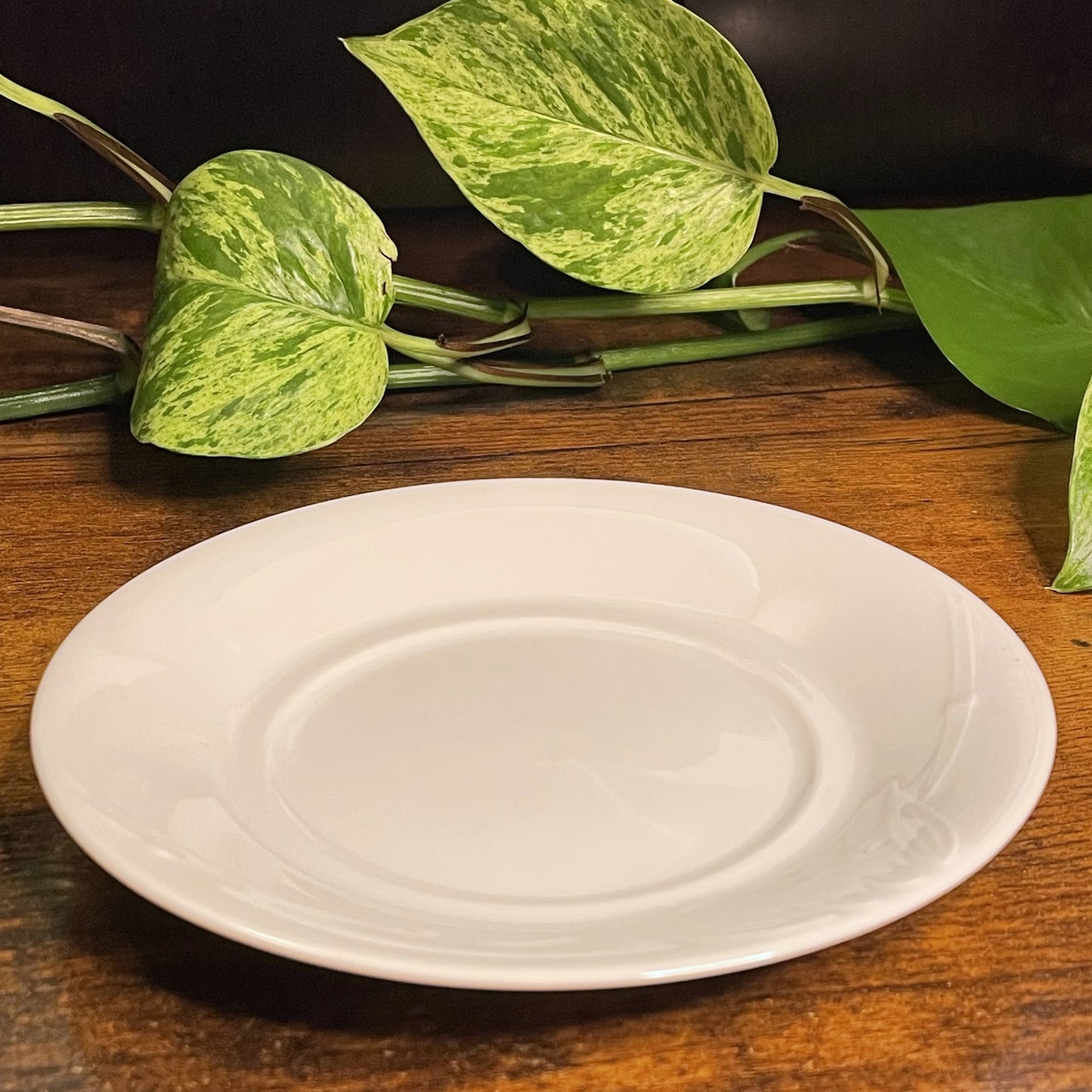 Studio Nova Bamboo White Teacup Candle | Water Mint & Clementine